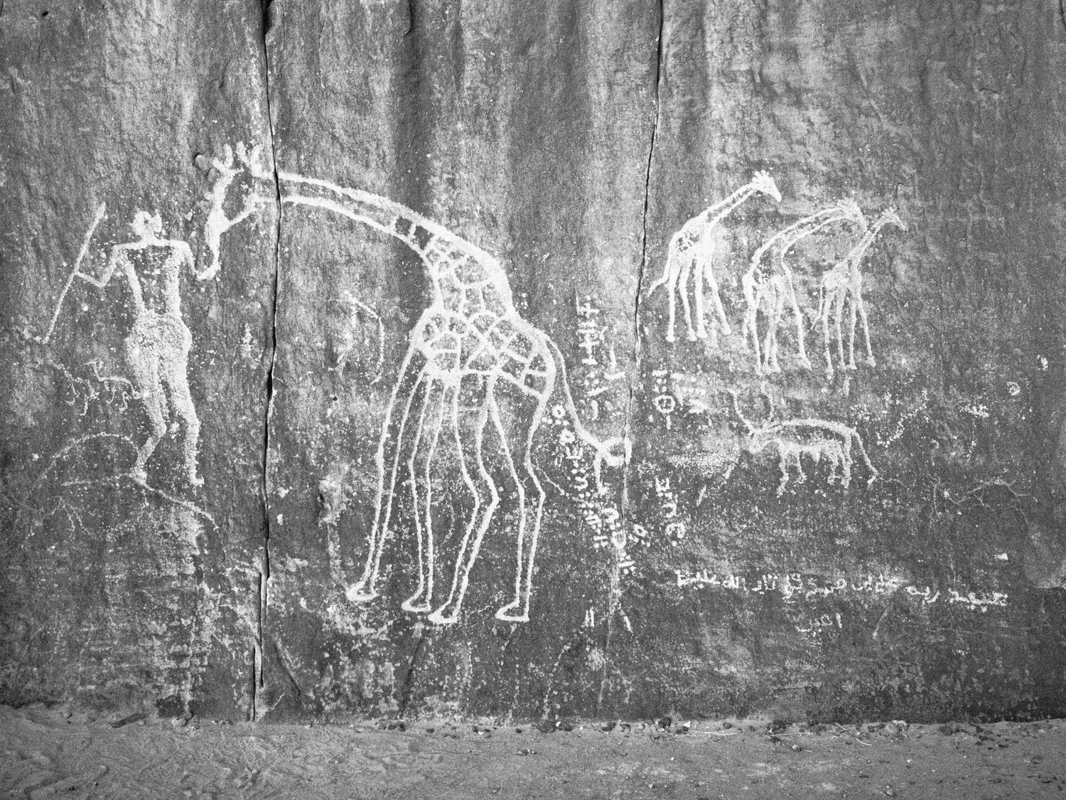 10 000 ans