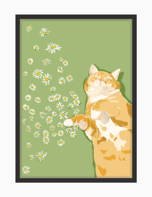 Daisy Dream