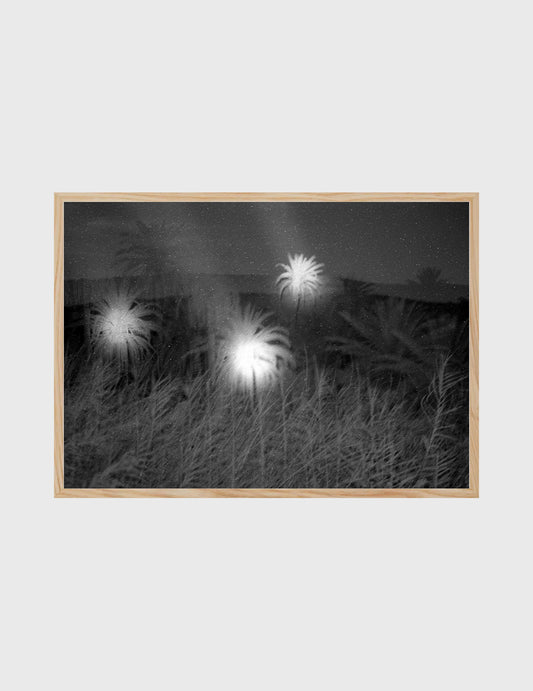 Phosphorescent Flicker