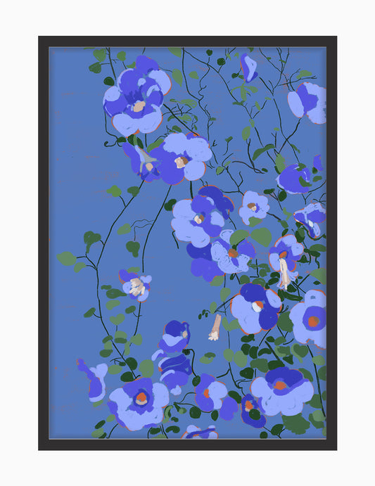 Violets